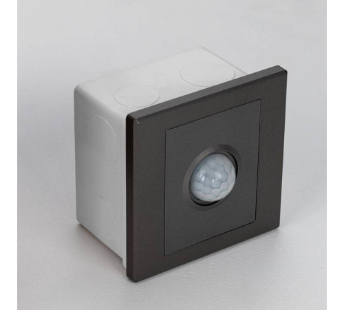 Датчик движения и освещенности Citilux Skally CLR005KS1