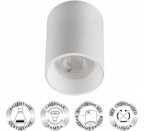 Накладной светильник Denkirs DK3110 DK3110-WH