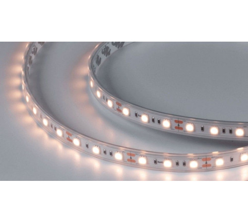 Лента светодиодная DesignLed DSG560 00-00000519