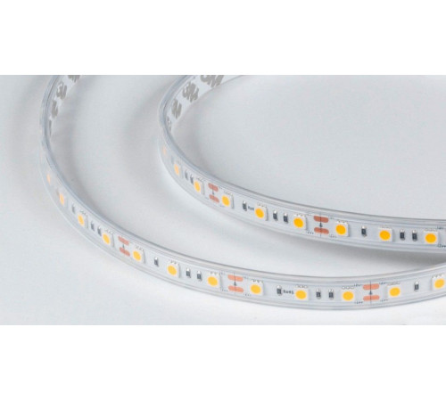 Лента светодиодная DesignLed DSG560 00-00000519