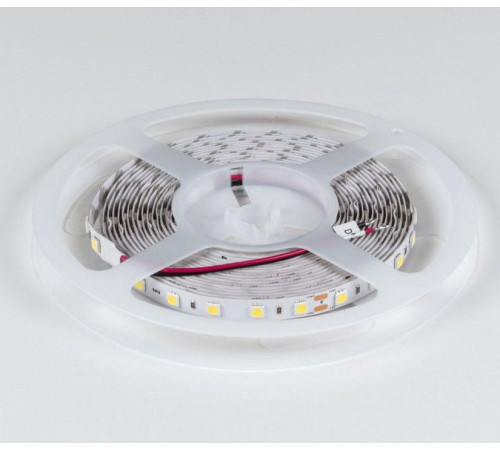 Лента светодиодная DesignLed DSG560 00-00000520