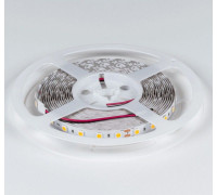 Лента светодиодная DesignLed DSG560 00-00000521