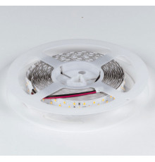 Лента светодиодная DesignLed DSG2252 00-00001493