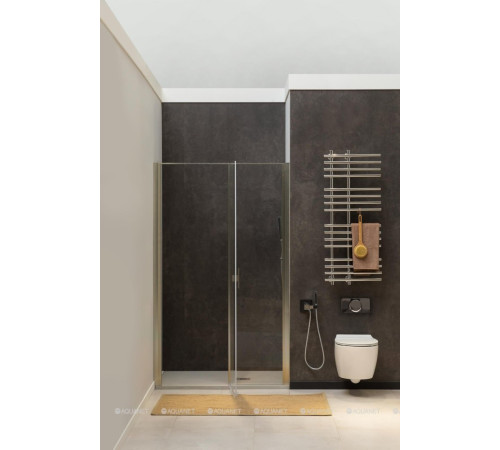 Душевая дверь в нишу Allen Brau Priority 900 мм стекло Optiwhite серебро 3.31002.BA