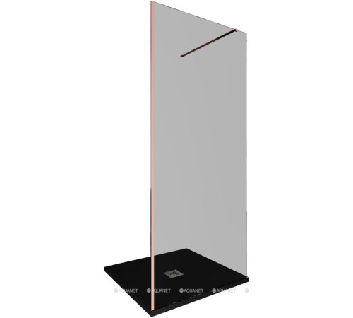 Душевая перегородка Walk-in Allen Brau INFINITY 1 900 мм стекло тонированное медь браш 3.21012.60.T