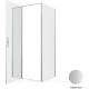 Душевое ограждение Allen Brau Priority 1000x900 мм 8 мм серебро браш 3.31029.BA/3.31044.BA