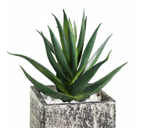 Растение в горшке Eglo Chitose 428008