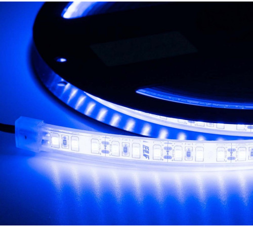 Лента светодиодная ELFLED ELF-600SMD2835-IP68-B