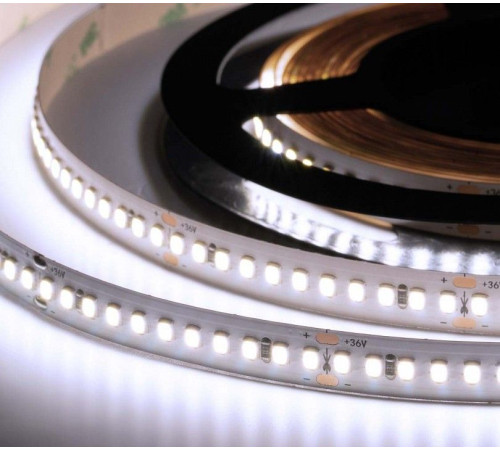 Лента светодиодная ELFLED ELF-990SMD2835NWw-Hy36