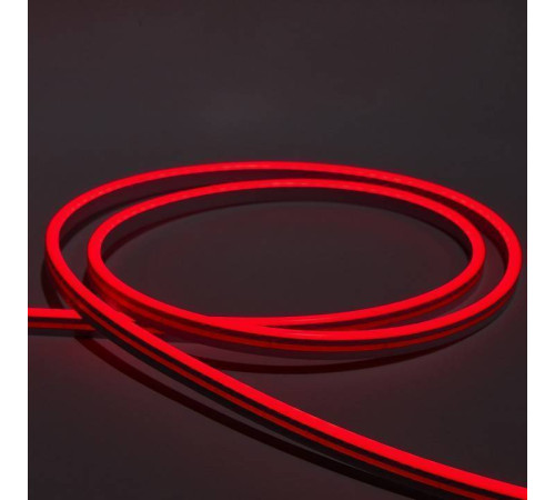 Шнур световой Eleganz EL-N24-96R