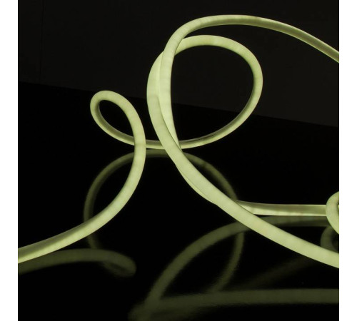 Шнур световой Elektrostandard LS 003 220V 9,6 IP67 a043547