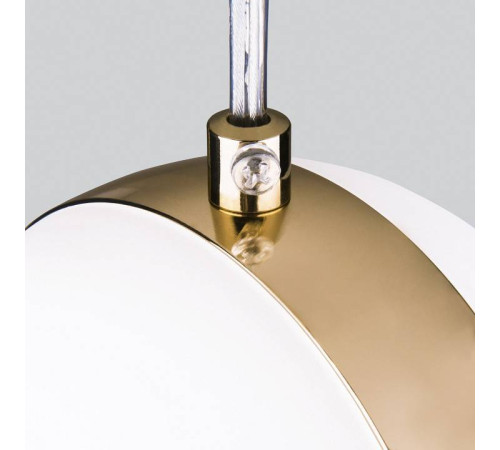 Подвесной светильник Elektrostandard DLN050 a047809