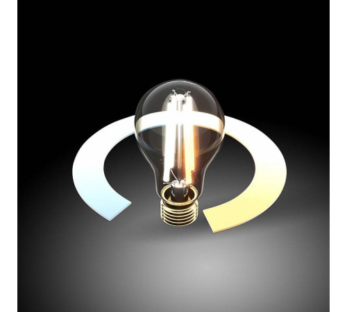 Лампа светодиодная с управлением через Wi-Fi Elektrostandard Умная лампа Classic F E27 6.5Вт 3300, 4200, 6500K a055920