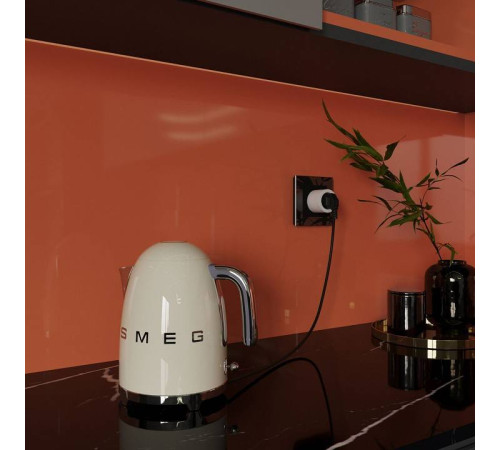 Розетка умная Elektrostandard a060311