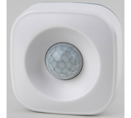 Датчик движения и освещенности Elektrostandard a060312