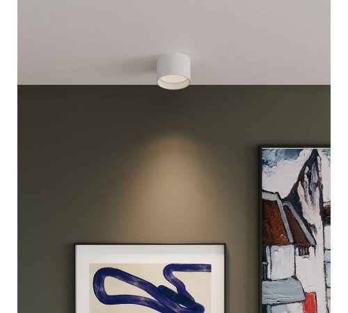 Накладной светильник Elektrostandard Banti a063927