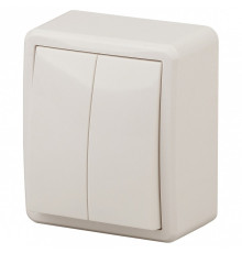 Выключатель двухклавишный ЭРА Эксперт 11-1204-02