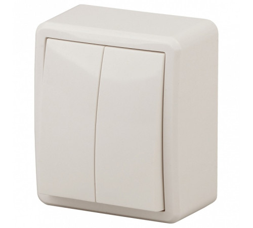 Выключатель двухклавишный ЭРА Эксперт 11-1204-02