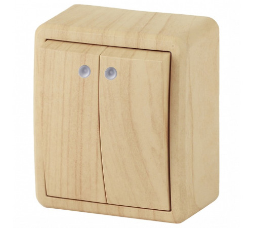 Выключатель двухклавишный с подсветкой Эра Эра Эксперт 11-1205-11