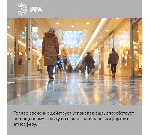 Лампа светодиодная Эра Стандарт LED POWER T80-20W-2700-E27
