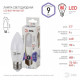 Лампа светодиодная Эра Стандарт LED B35-9W-860-E27