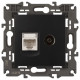 ТВ-розетка и розетка Ethernet RJ-45 без рамки Эра Эра Elegance 14-3110-05