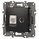 ТВ-розетка и розетка Ethernet RJ-45 без рамки Эра Эра Elegance 14-3110-05