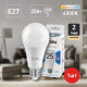 Лампа светодиодная Эра Стандарт LED A65-25W-840-E27