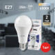 Лампа светодиодная Эра Стандарт LED A65-25W-860-E27