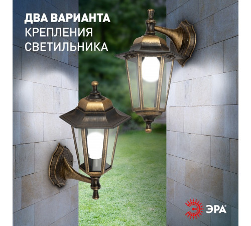 Светильник на штанге Эра НБУ 06-60-001 бронза