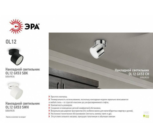 Светильник на штанге Эра OL12 GX53 SBK Б0049034