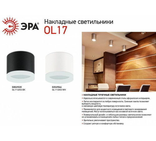 Накладной светильник Эра OL17 GX53 WH Б0049044