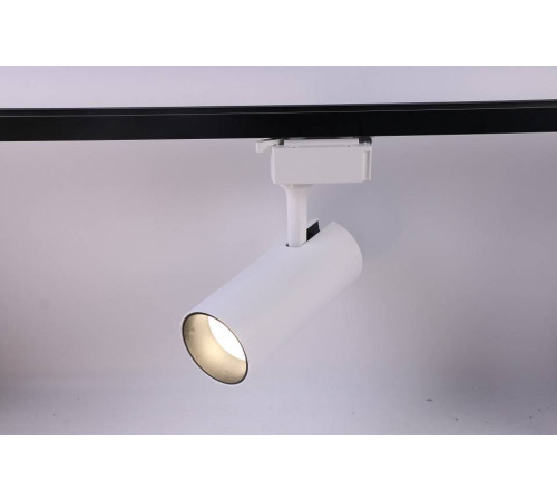 Светильник на штанге Эра TR5-20 COB WH