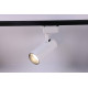 Светильник на штанге Эра TR5-20 COB WH