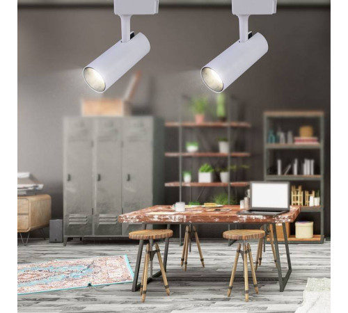 Светильник на штанге Эра TR5-20 COB WH