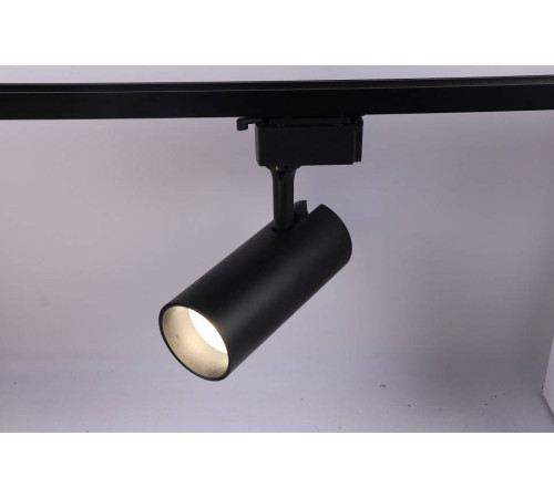 Светильник на штанге Эра TR5-20 COB BK