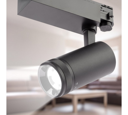 Светильник на штанге Эра STR-30-99-40K-B20