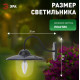 Светильник на штанге Эра ERASF22-38