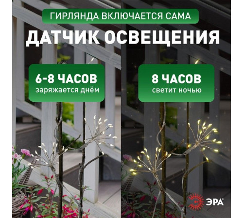 Гирлянда на солнечных батареях Эра ERASF22-45