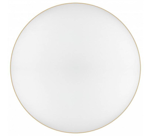 Накладной светильник Эра Relict Relict 48 Pult SPB-6-60-RC MG