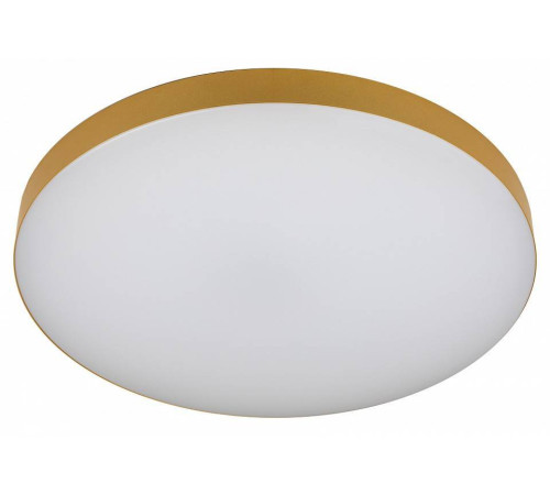 Накладной светильник Эра Relict Relict 48 Pult SPB-6-60-RC MG