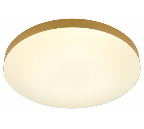 Накладной светильник Эра Relict Relict 48 Pult SPB-6-60-RC MG