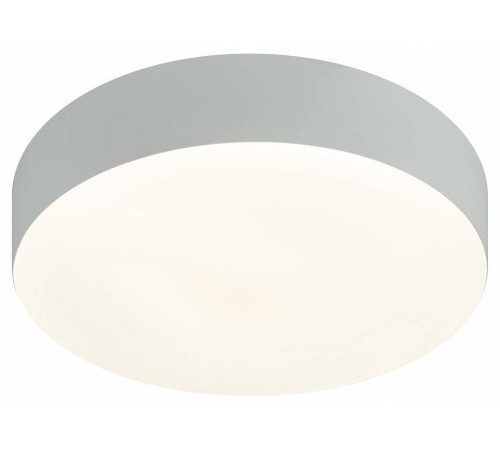 Накладной светильник Эра Relict Relict 22 SPB-6-20 4К WH