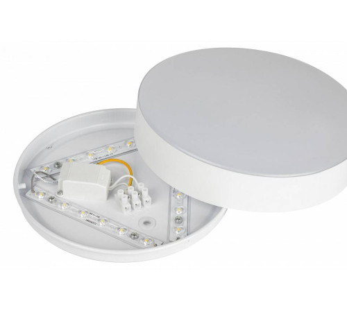 Накладной светильник Эра Relict Relict 22 SPB-6-20 4К WH