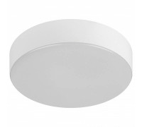 Накладной светильник Эра Relict Relict 22 SPB-6-20 4К WH