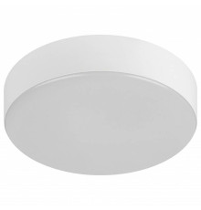 Накладной светильник Эра Relict Relict 22 SPB-6-20 4К WH