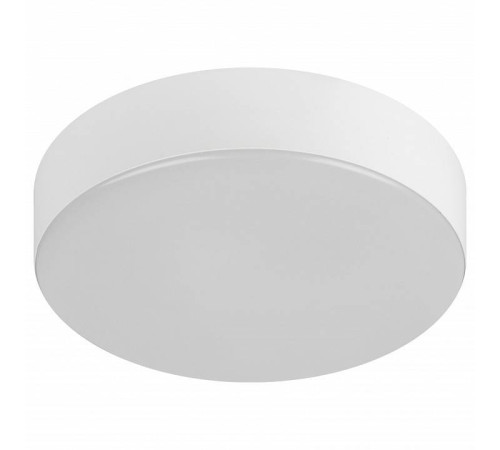 Накладной светильник Эра Relict Relict 22 SPB-6-20 4К WH