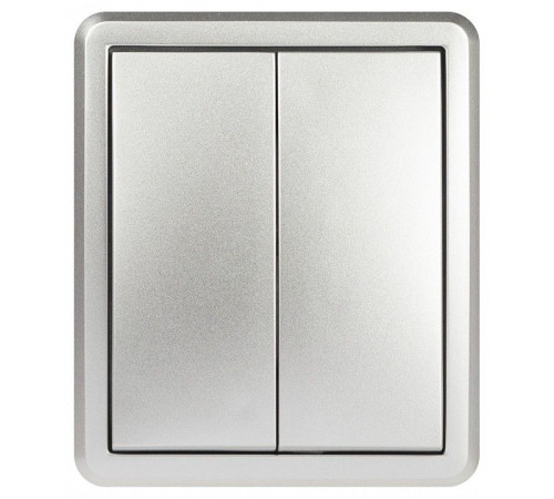 Выключатель двухклавишный Эра Эра Эксперт 11-1204-03