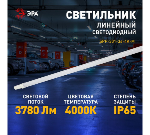 Накладной светильник Эра SPP-301-36-4K-M