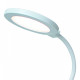 Настольная лампа офисная Escada 10245/1LED